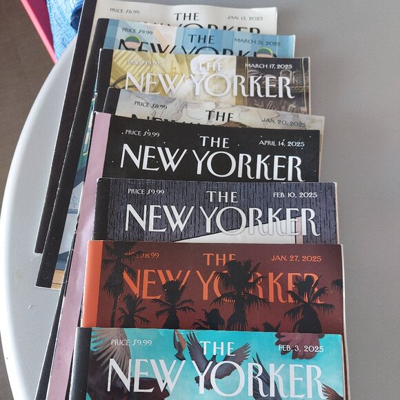 The New Yorker Magazine 2025 BUNDLE OF 7 - Jan - April - Picture 2 of 9
